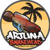 arjuna_snakehead01