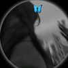esrafile4