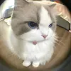 lily_lily044