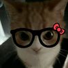 swet.coconut_