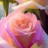 user2354780038159s