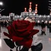 alialgurabi967