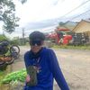 rendi