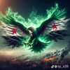 ali_syria29