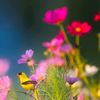 naturelover22r