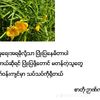 nawmue26