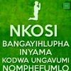 bekithemba.tshuma