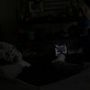 gavin_zzz1