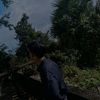 moe.sat.naing68