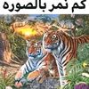 user261970295711
