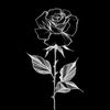 user5810818814580