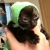 misterl_721