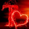 mss.shimu.islamtt2