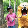 bim_ha