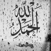 user8655882556829