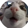 8precentrn