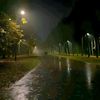 dark_shadow0614