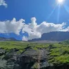 mtb_tj8