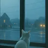 nhu_1.tro_duaa