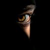 faith_0067