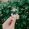 nuralinatikah_13