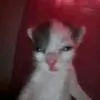 _carameoo_0112