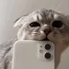 user5511947213318