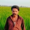 haknawaz.bhati