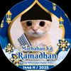 user8194619196728
