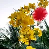 binh.yen802