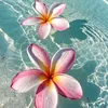 athenaperia