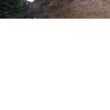 clv_gab