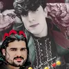 obaidahmadzai52