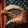 Voice of USA