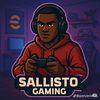 sallisto.gaming206
