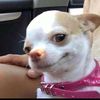 user.636636