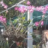 trn.phong.phong.t8