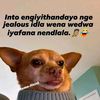 happysithole62