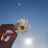 imane_15_lmane