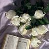 fa_rah386