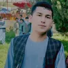 shirahmadgholami511