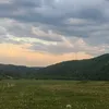 kailozoqia