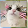 iliketoday