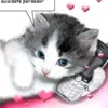 ekwkkwkssisi