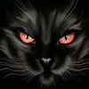 vild_cat.com