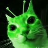 fian.suka.kucing