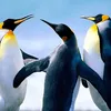 edson.paulo.lemes