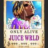 onepiecefan552