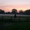 rhys69x