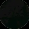 39.r6